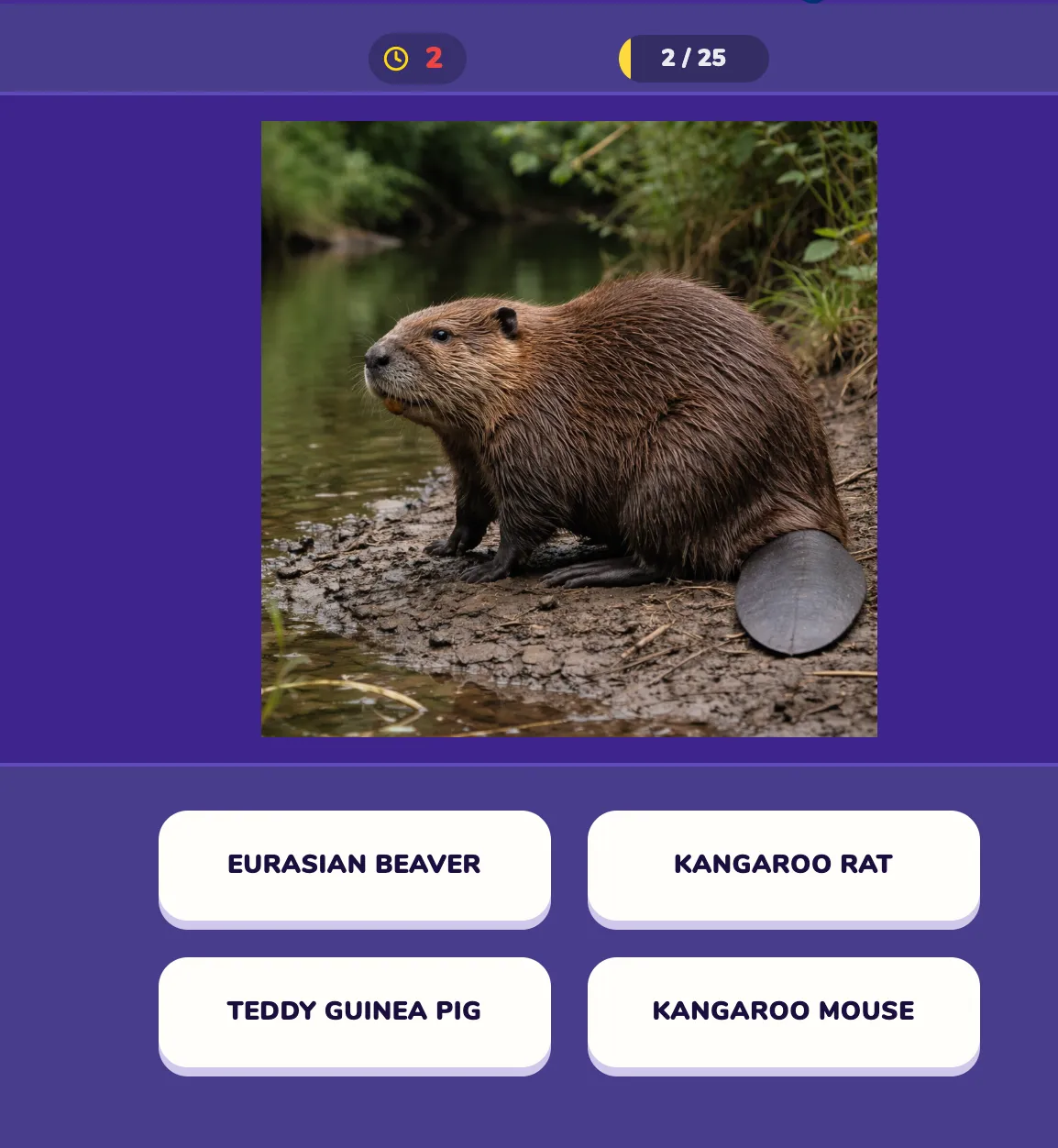 Animal quiz preview