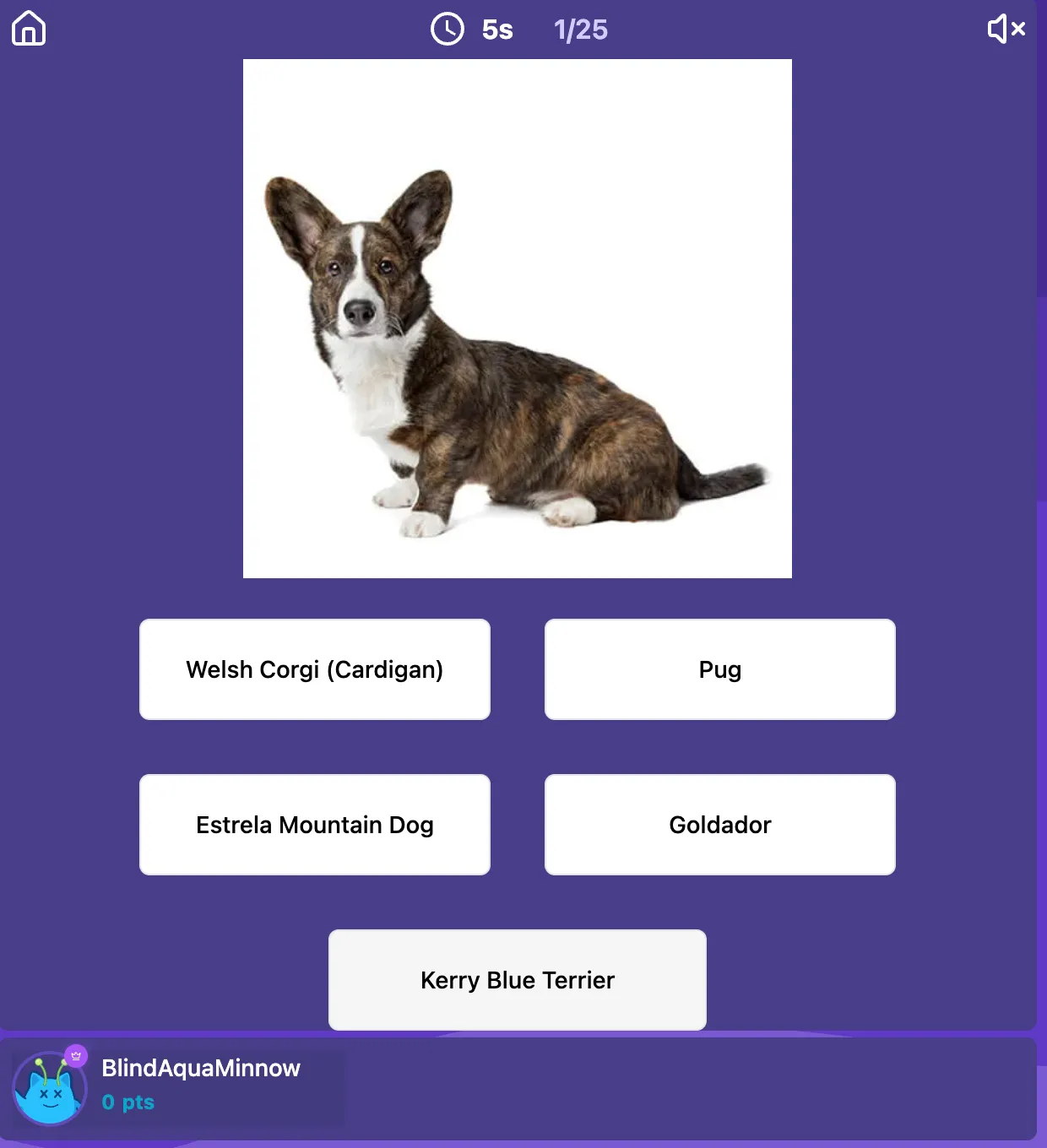 Dog breed quiz preview
