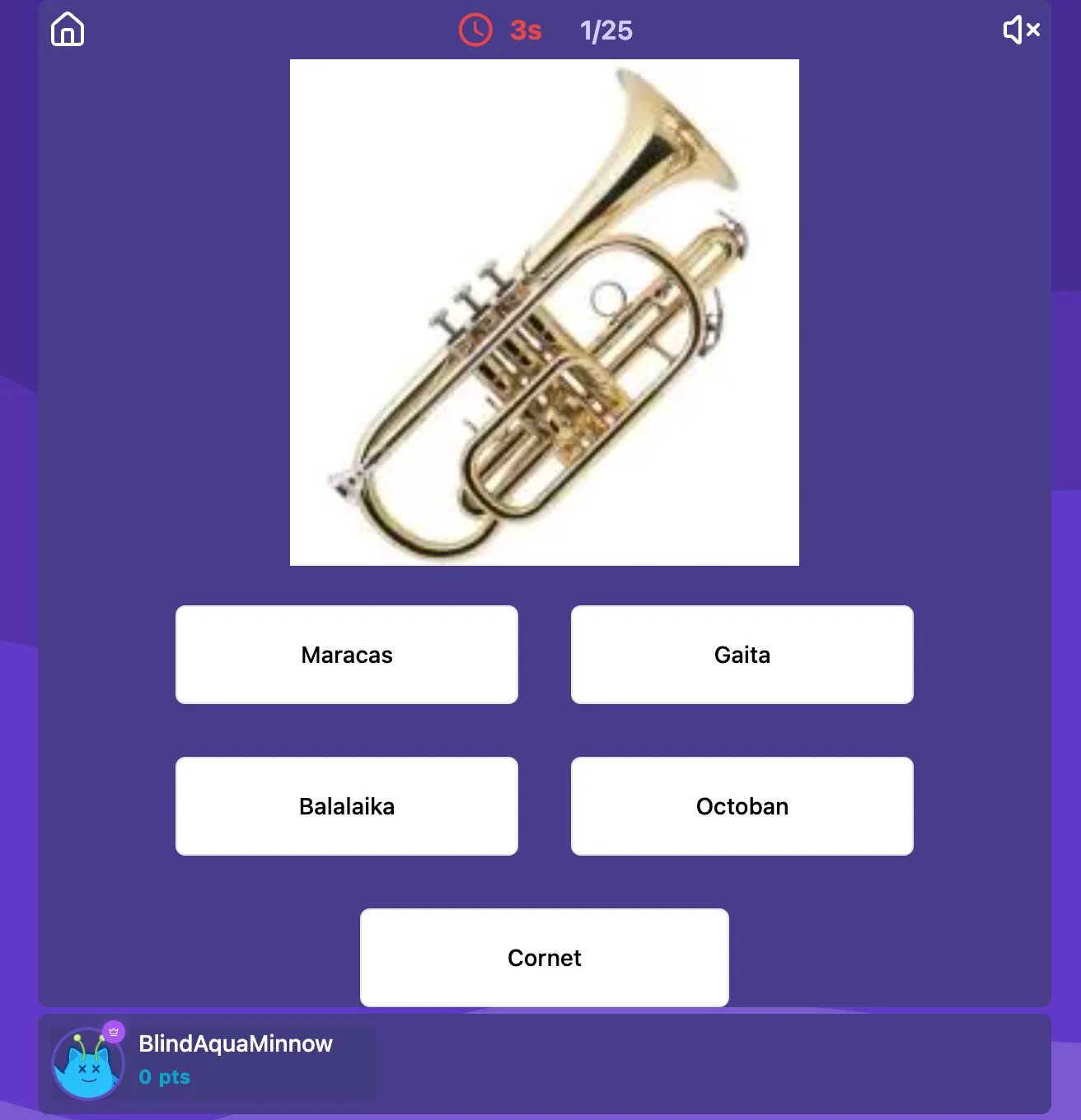 Musical instrument quiz preview